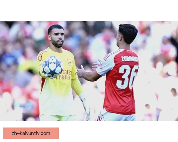 半场利兹02阿森纳苏比门迪建功